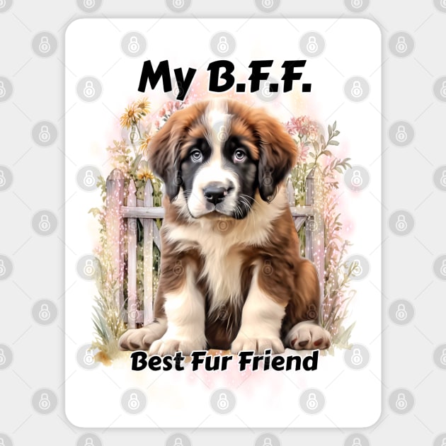 Dog - B.F.F. St. Bernard puppy Magnet by KEWDesign